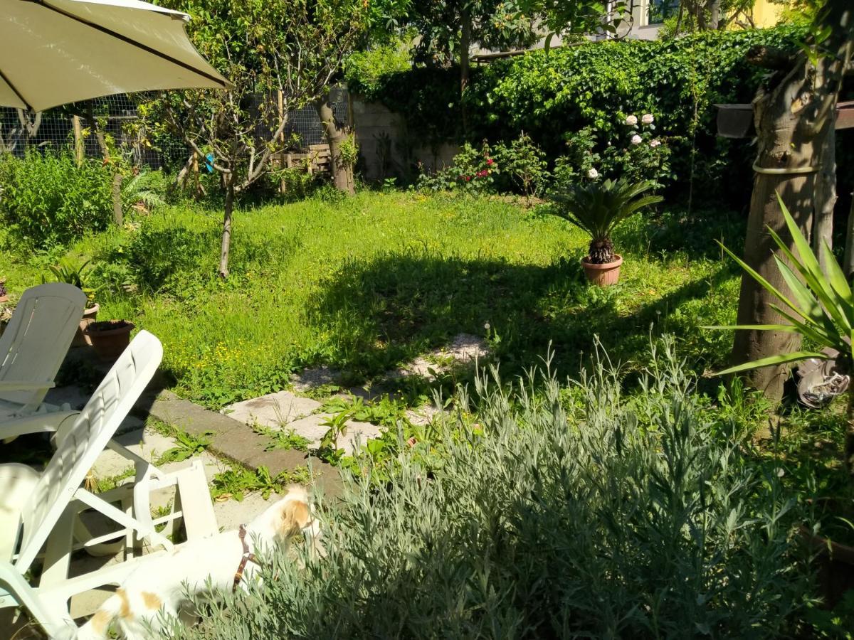 Villino L'Aranceto Sorrentino Bed and Breakfast Meta Exteriör bild