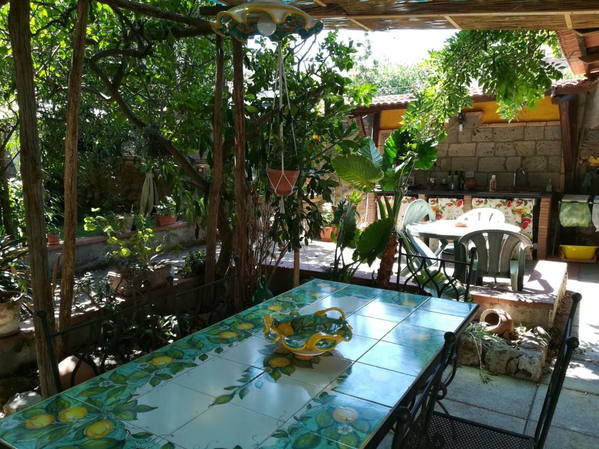 Villino L'Aranceto Sorrentino Bed and Breakfast Meta Exteriör bild