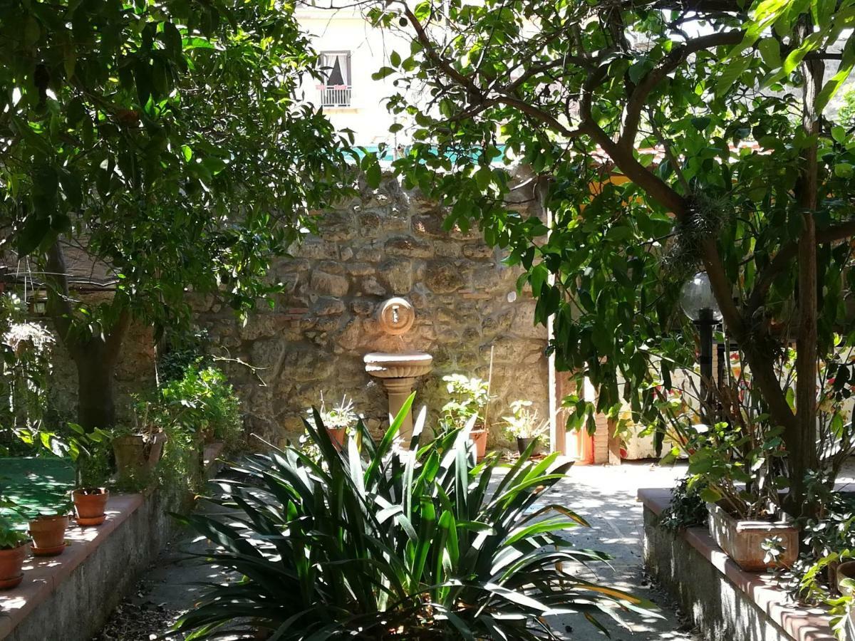 Villino L'Aranceto Sorrentino Bed and Breakfast Meta Exteriör bild