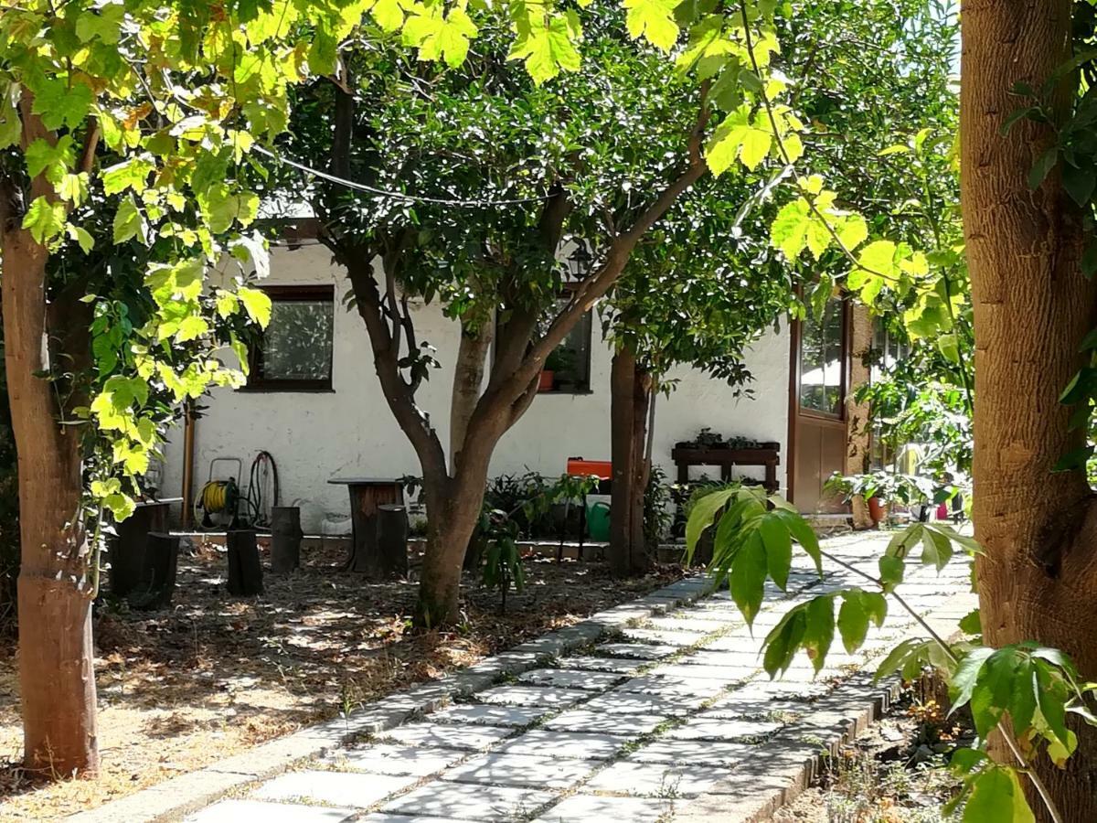 Villino L'Aranceto Sorrentino Bed and Breakfast Meta Exteriör bild