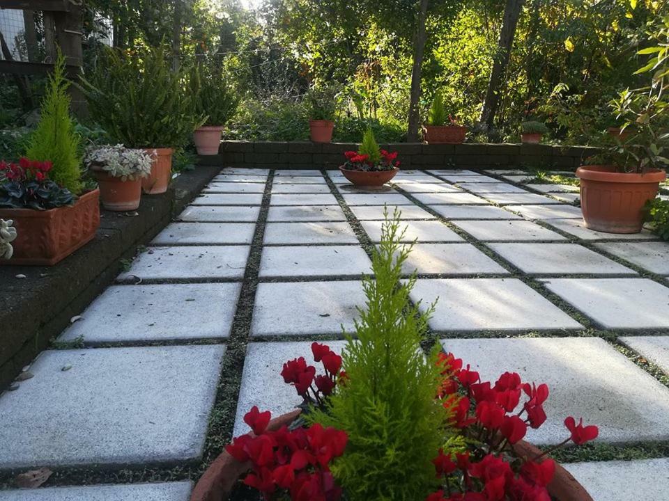 Villino L'Aranceto Sorrentino Bed and Breakfast Meta Exteriör bild